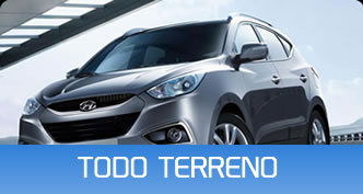 Arriendo de Todo terreno
